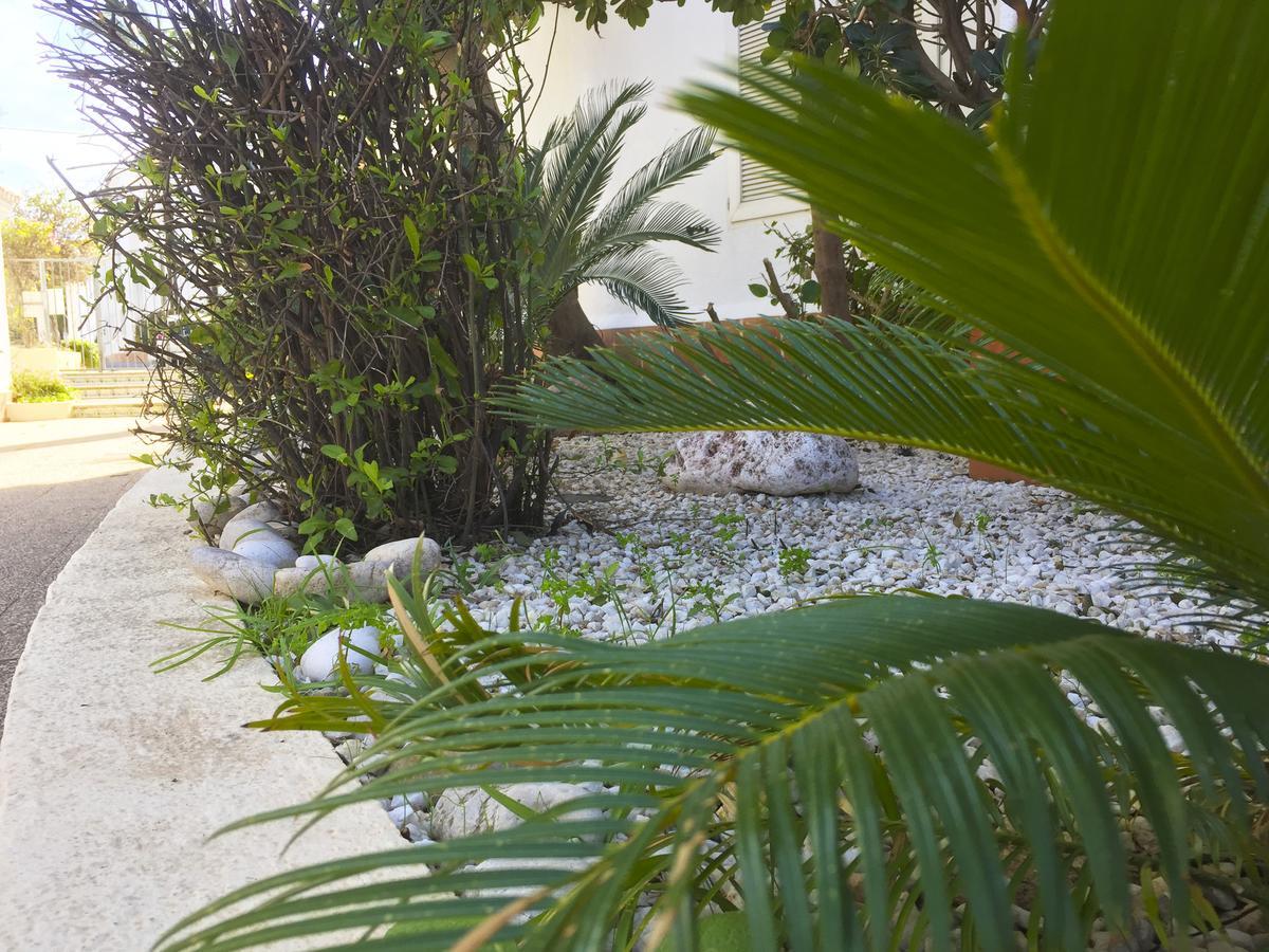 Anacasa Oasis Beach II Marineta Ap2116 Denia Kültér fotó